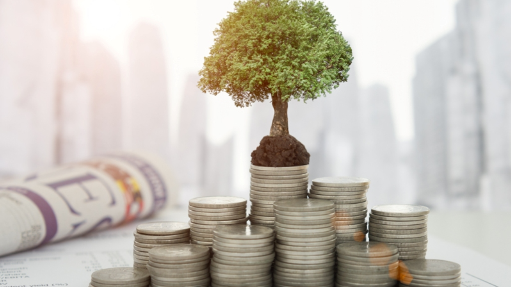 Investasi Aman di Tengah Ketidakpastian Global: Strategi Cerdas untuk Investor Pemula